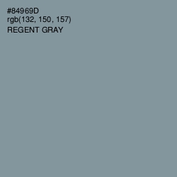 #84969D - Regent Gray Color Image